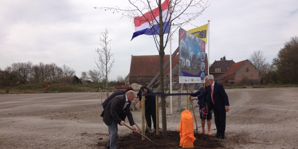 Drie Koningslinden op Goeree-Overflakkee