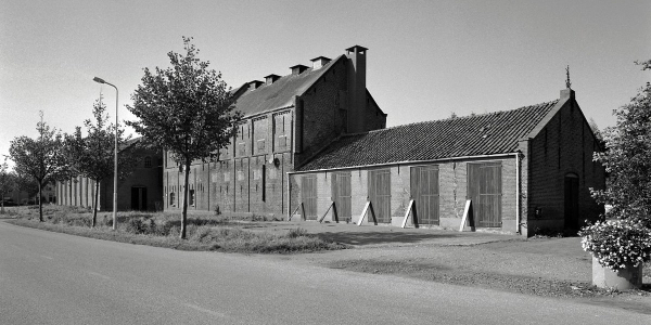 Provincie stelt 4 ton beschikbaar voor chicoreifabriek Ceres in Ouddorp