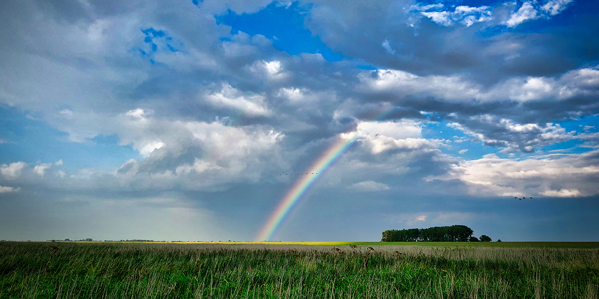 Regenboog laat zien: Iedereen telt mee!