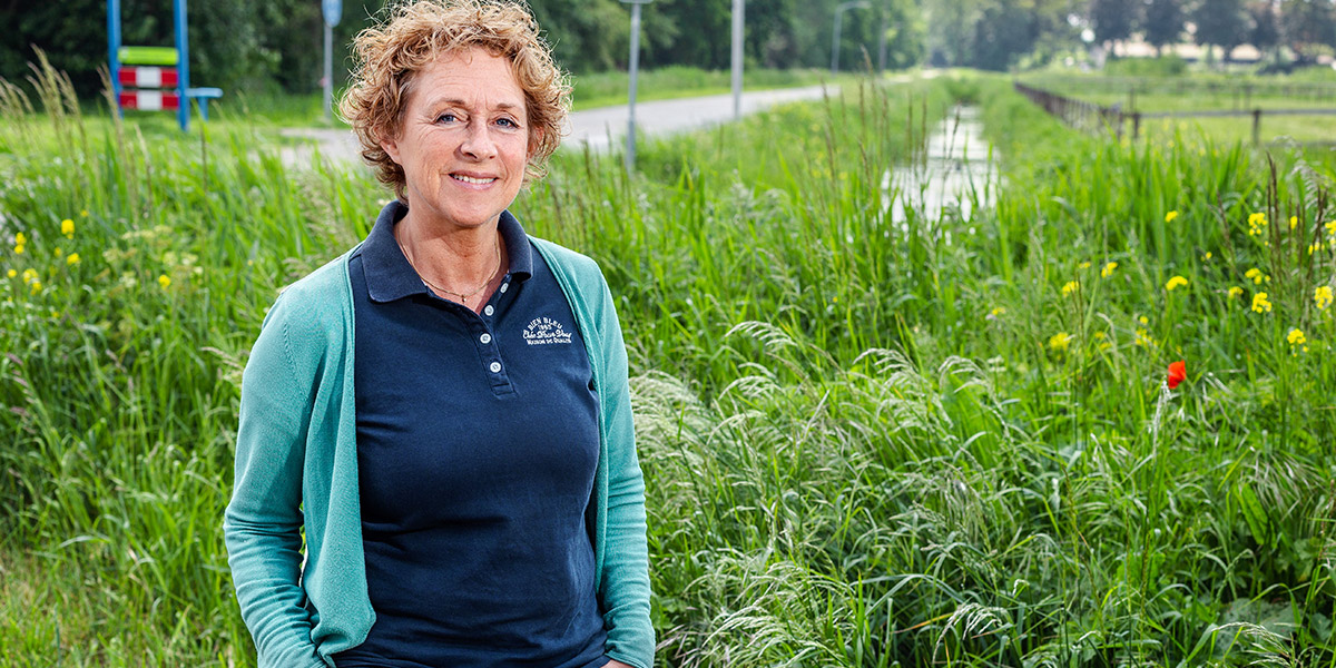 Waterschap wil beeldbepalende bomenrij behouden