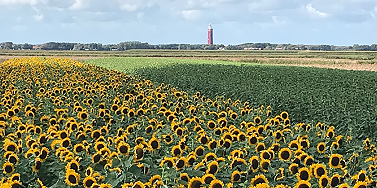 SGP-Waterschapsfractie stelt vragen rondom zoet water op de Kop van Goeree