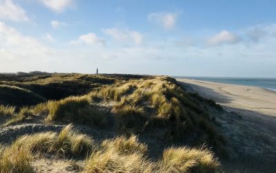 [Video] Ouddorp heeft het schoonste strand van Nederland!