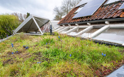 Subsidieregeling vergroenen van tuinen vergroot