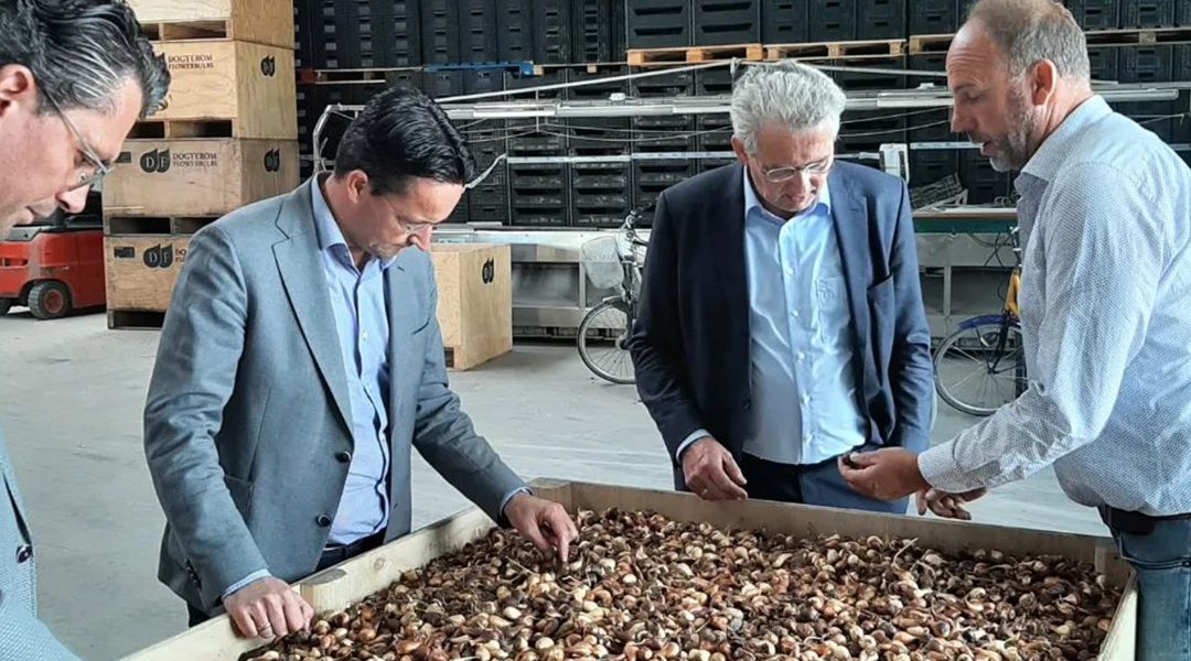 Werkbezoek over de uitdagingen van bollenteelt en akkerbouw