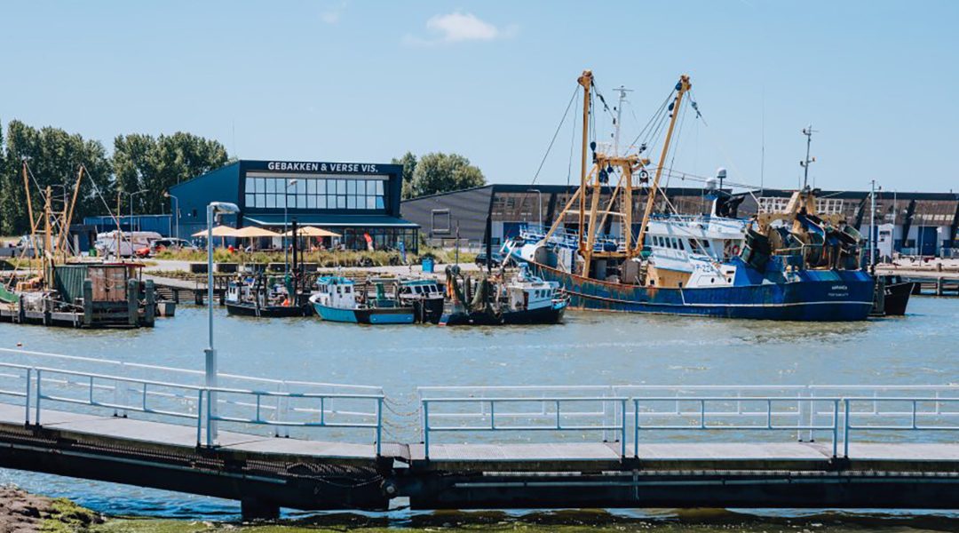 Voorgenomen verbod bodemberoerende visserij Voordelta uitgesteld