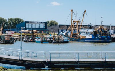 Zienswijze gemeente tegen besluit visserijverbod Voordelta