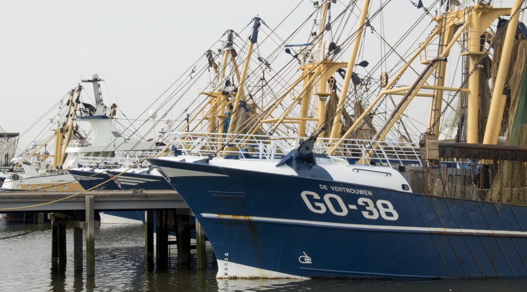 Zes ton subsidie voor visserijsector in Goedereede
