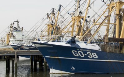 SGP-ers weer op de bres voor vissers