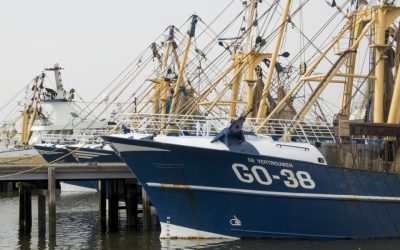 SGP-motie in Staten over ‘Visserij mag niet de dupe zijn van natuurcompensatie Voordelta’ aangenomen