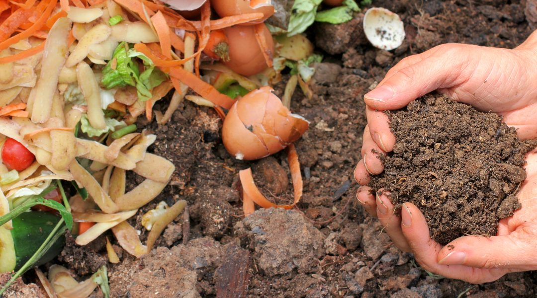 Landelijke Compostdag – zaterdag 23 maart 2024