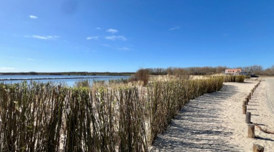 De Punt badstrand feestelijk geopend na flinke opknapbeurt